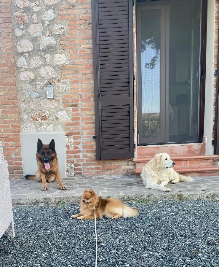 Casa Vacanze Arcobaleno Grosseto Bagian luar foto